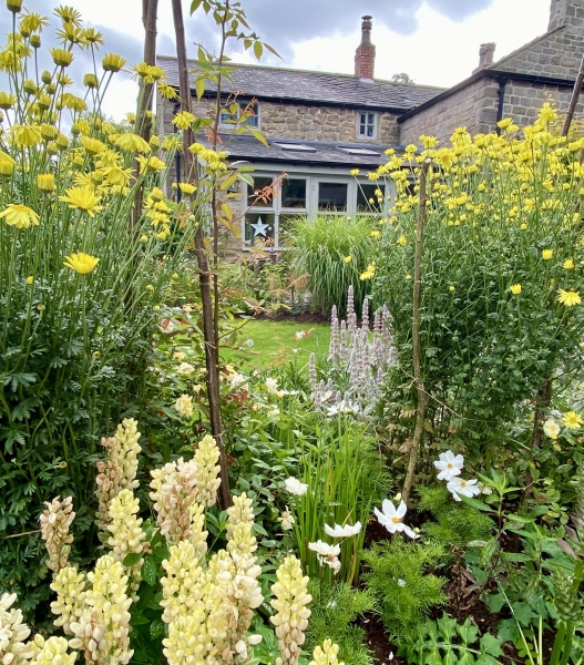 Anderton Mill Cottage